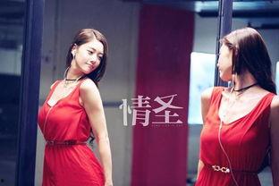 情圣的演员表,明星阵容大揭秘，笑料与情感交织的浪漫喜剧